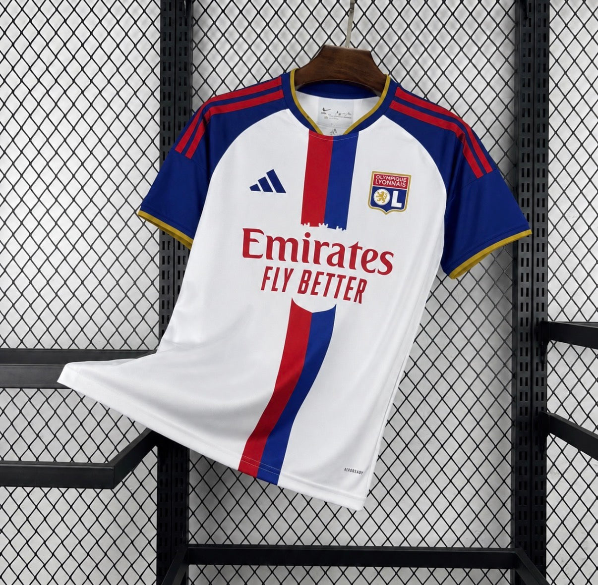 OL 2026/27 Domicile