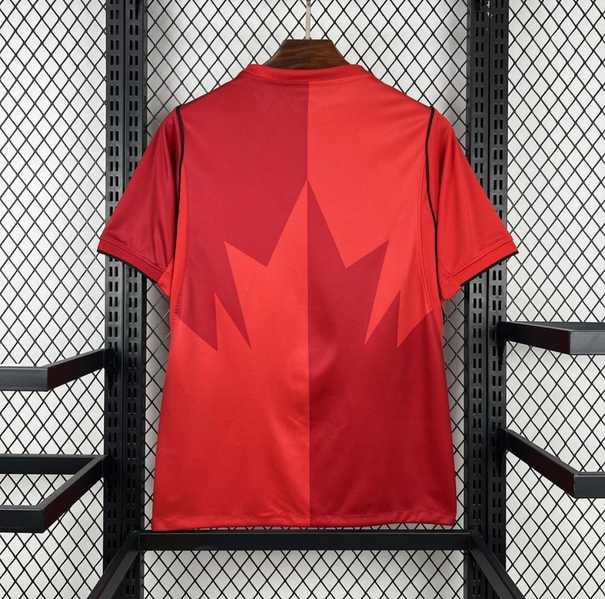 Canada 2026 Domicile