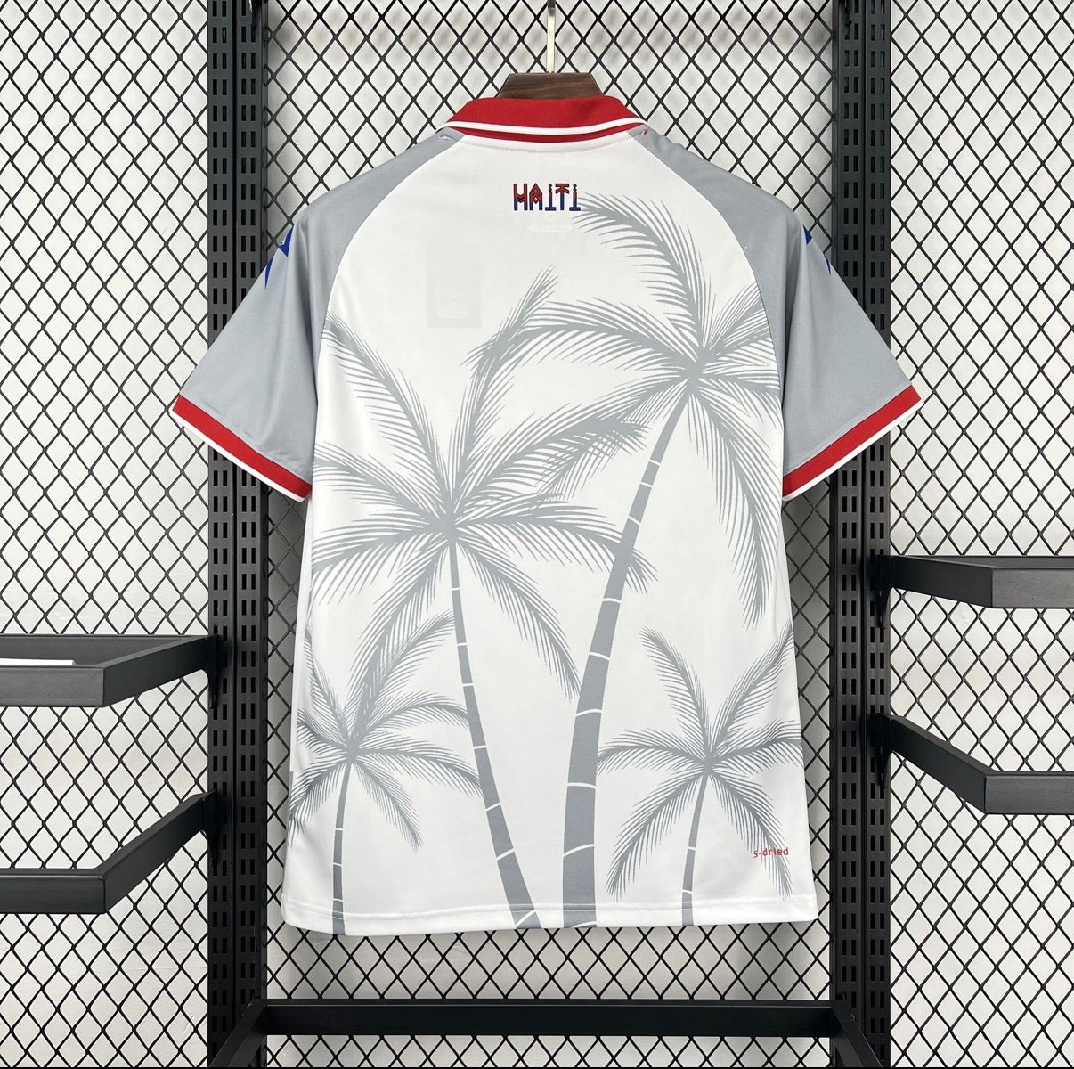 Haïti 2026 Extérieur
