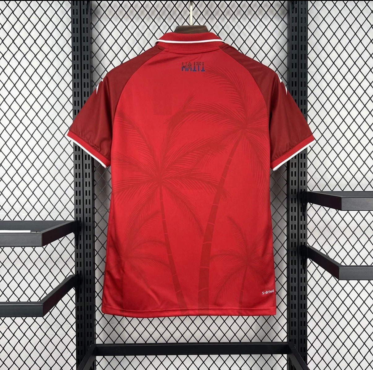 Haïti 2026 Third