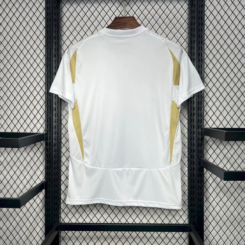 Al-Nassr 2024/25 Third