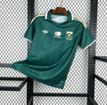Afrique du Sud 2026 Domicile