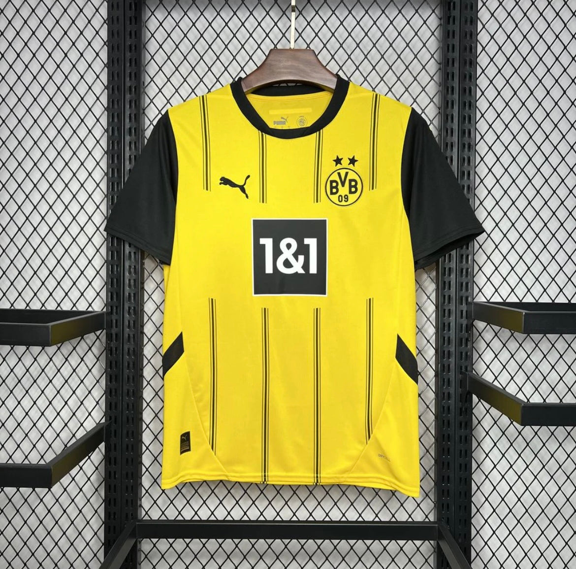 BVB Dortmund 2024/25 Domicile