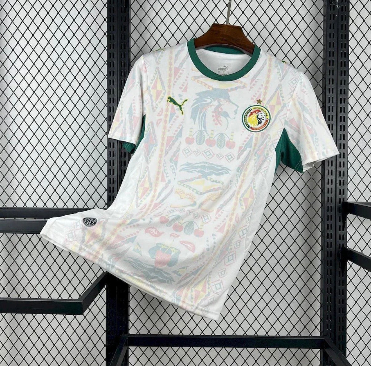 Sénégal 2026 Domicile