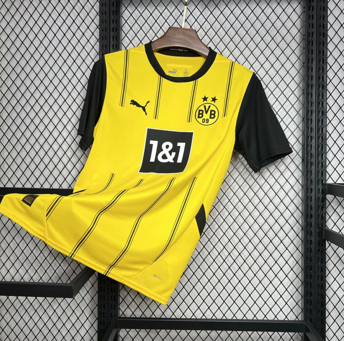 BVB Dortmund 2024/25 Domicile