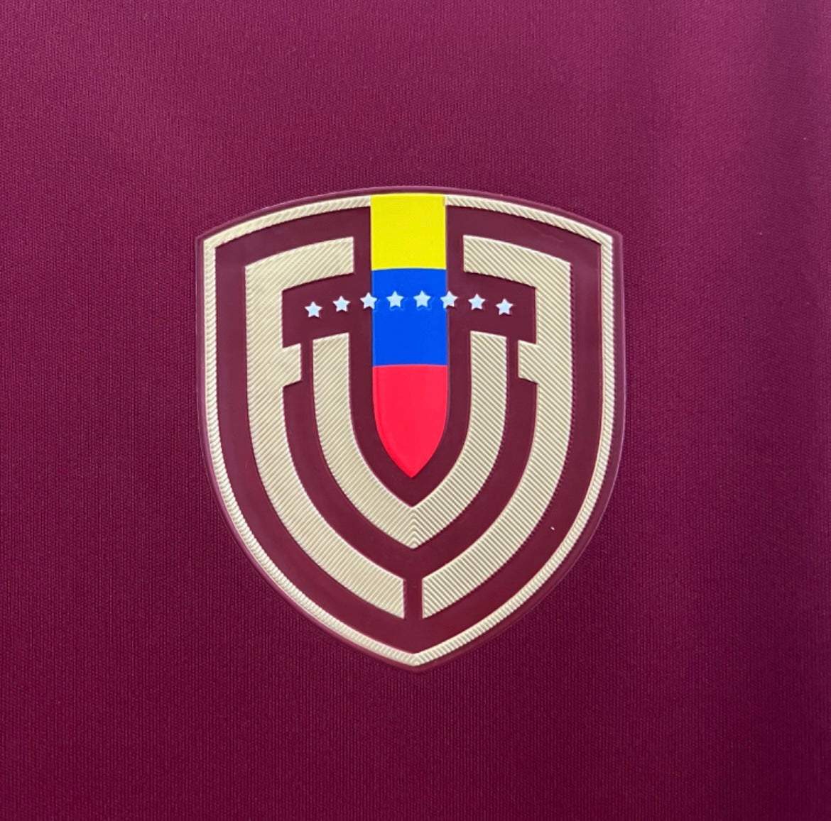 Venezuela 2024 Domicile