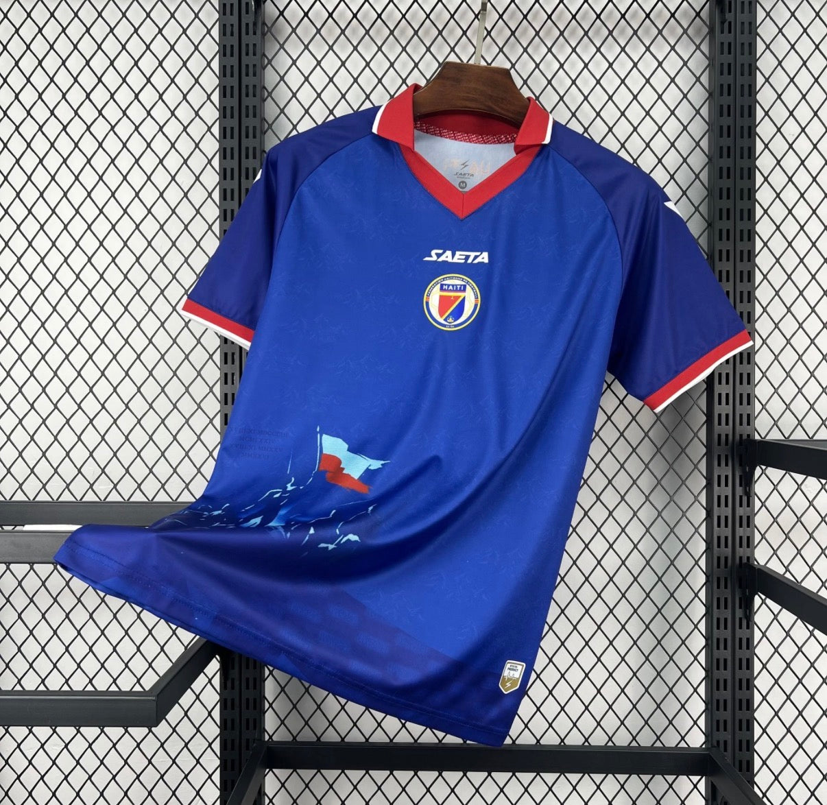 Haïti 2026 Domicile
