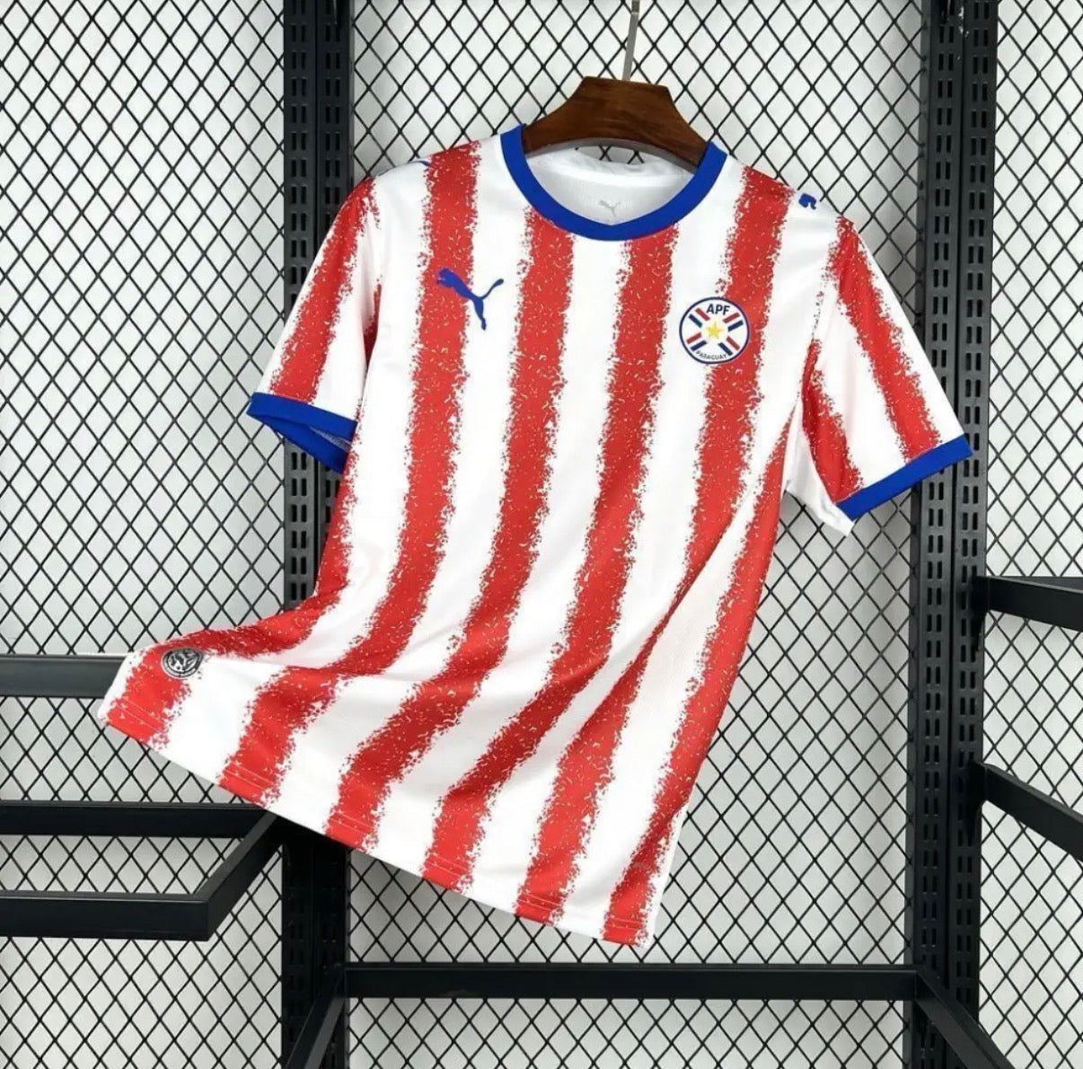 Paraguay 2026 Domicile