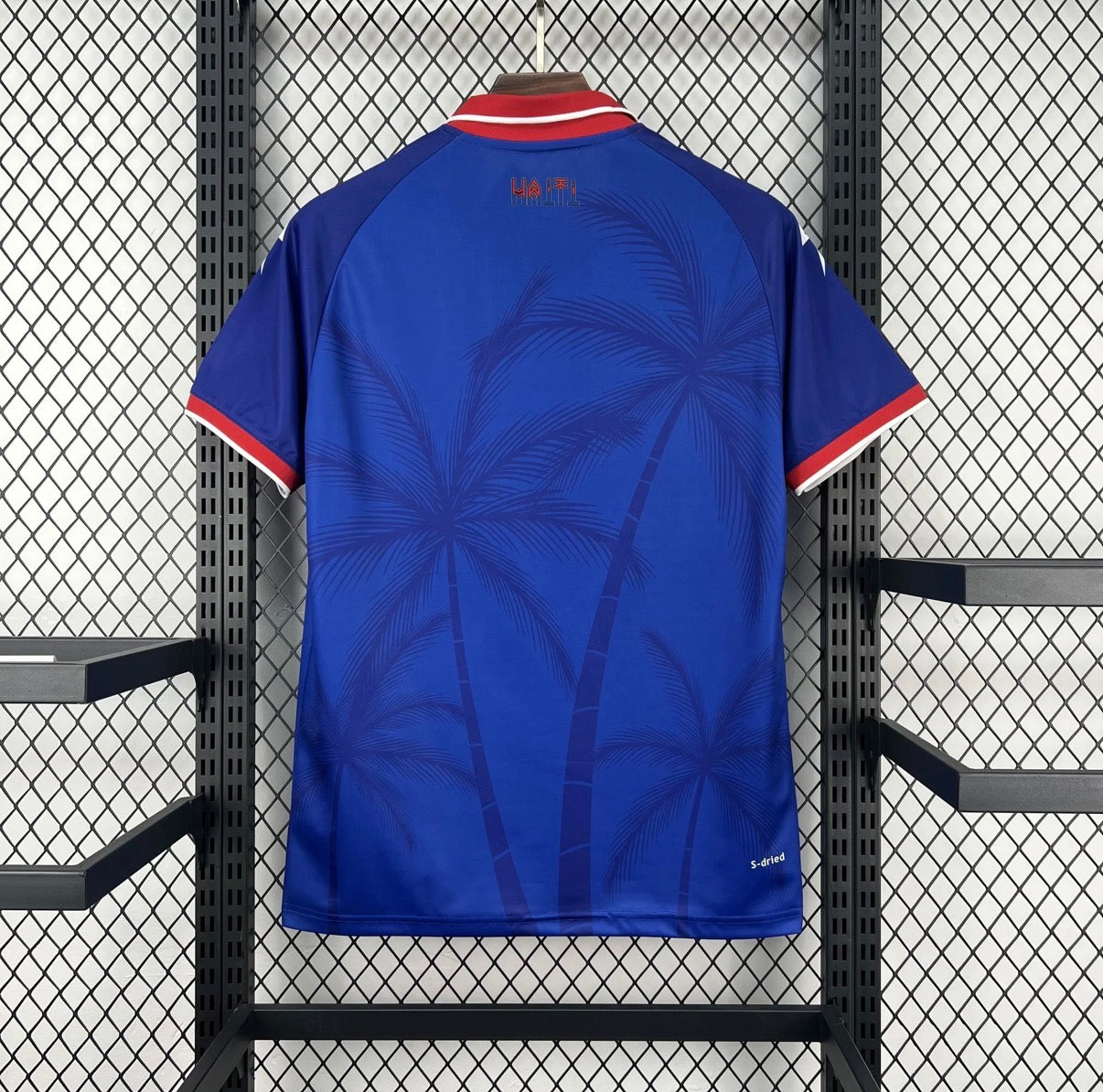 Haïti 2026 Domicile