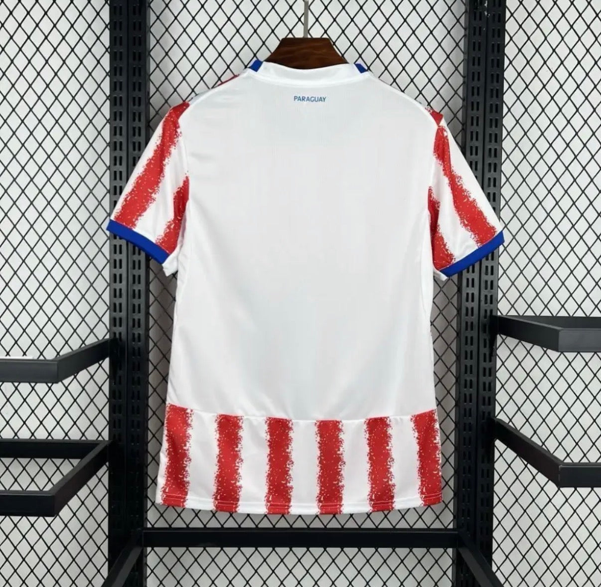 Paraguay 2026 Domicile