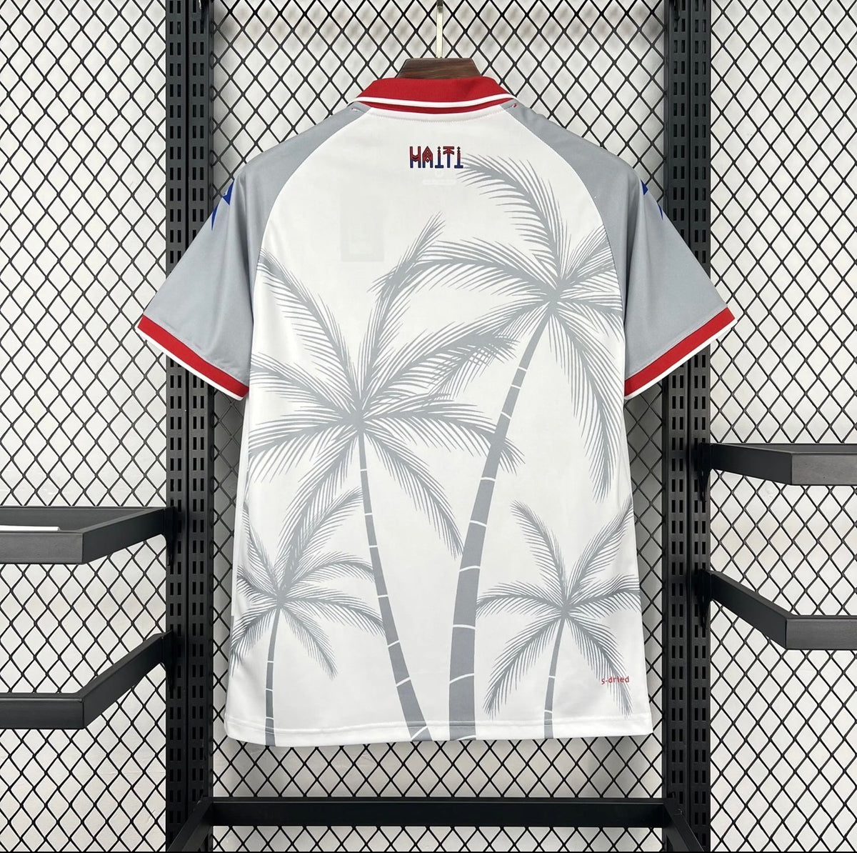 Haïti 2026 Extérieur