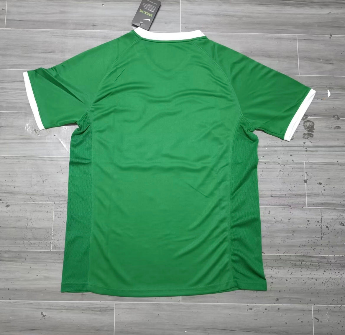 VfL Wolfsburg 2008/09 Domicile
